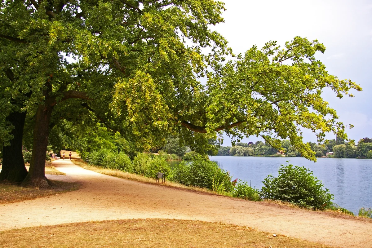 Spazierweg im Neuen Garten in Potsdam