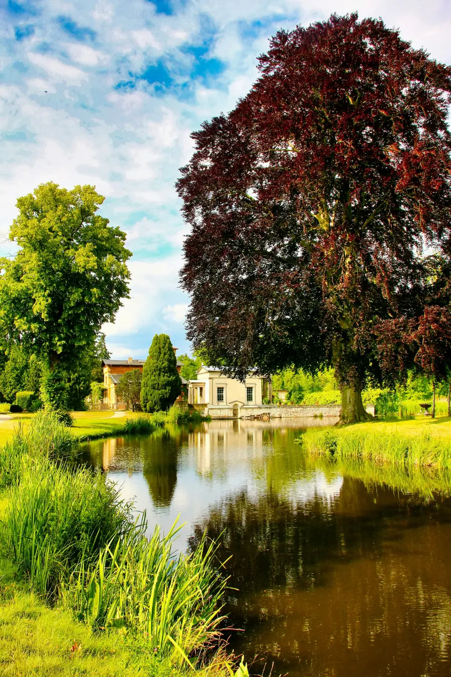 Potsdamer Parklandschaft am Wasser